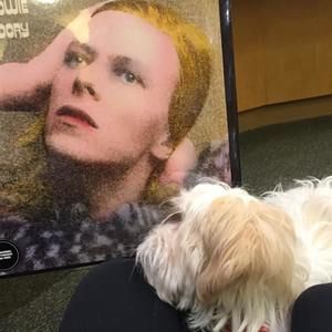 Meet your Posher, Kaela